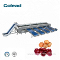 Automatic vegetable grading sorting machine